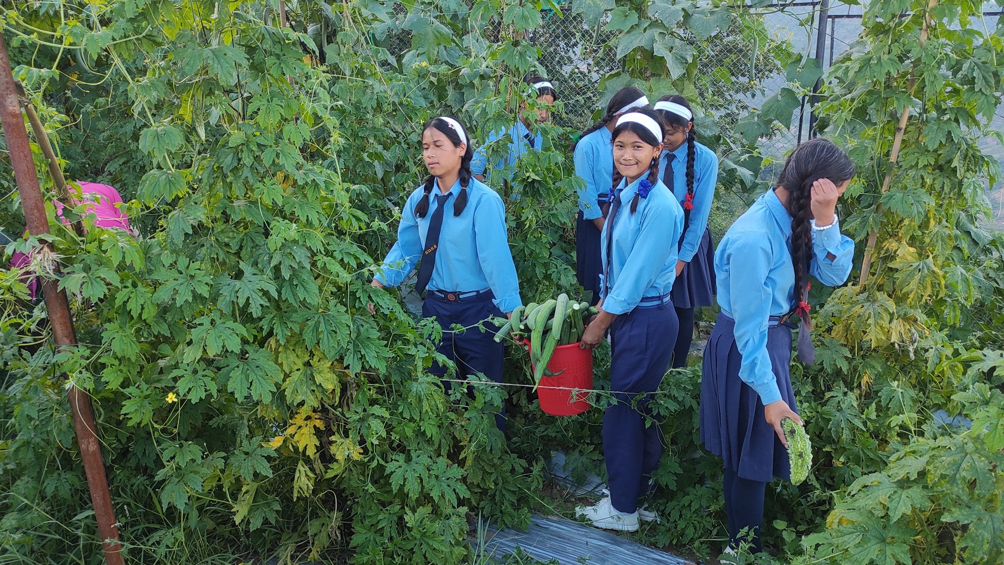 voluntary add to rural poor